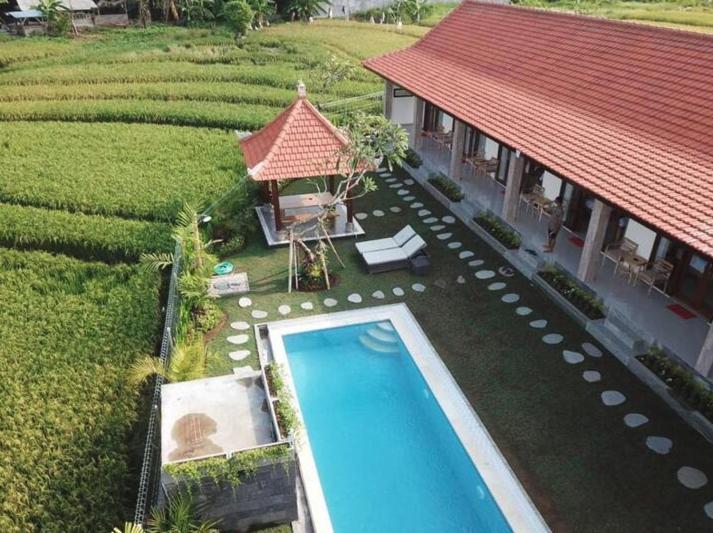 Rara Guesthouse Canggu  Bagian luar foto